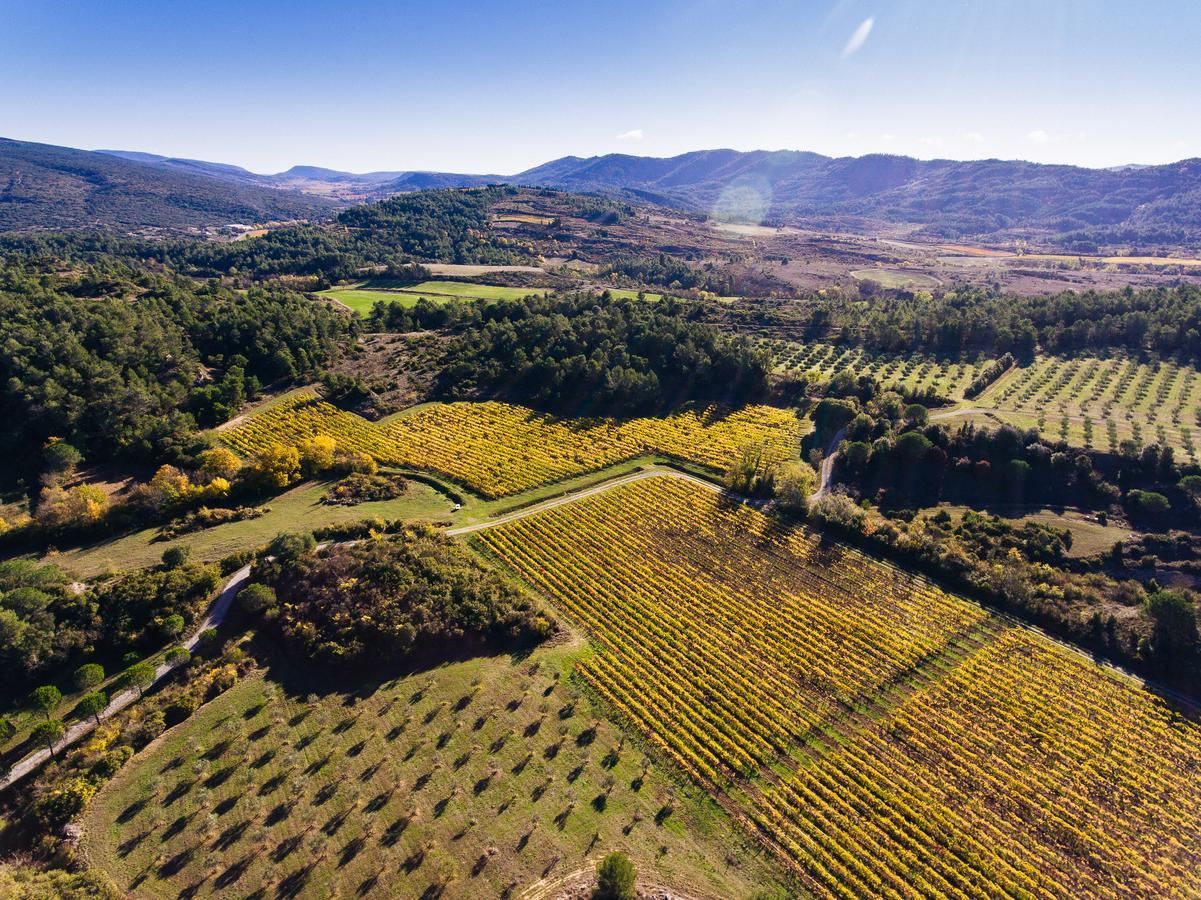 Domaine Calmel&Joseph Montirat (Aude) Exterior foto