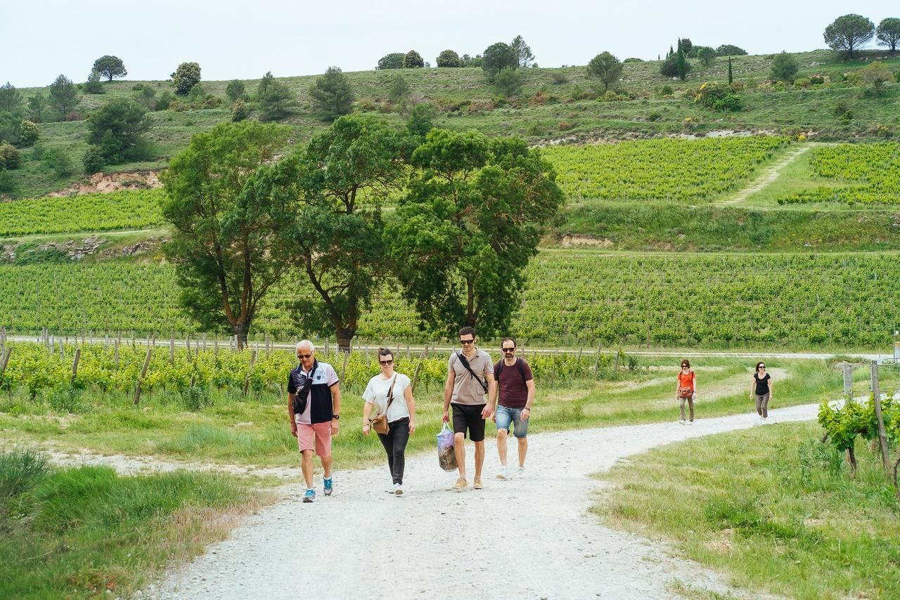 Domaine Calmel&Joseph Montirat (Aude) Exterior foto